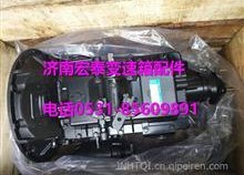 国产17p,引领科技潮流的创新之作